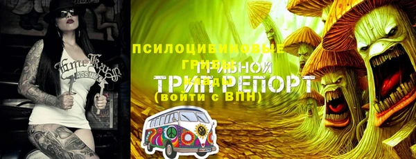 PSILOCYBIN Медногорск