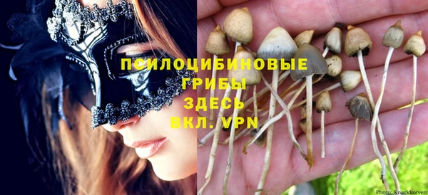 гидропоника Михайлов