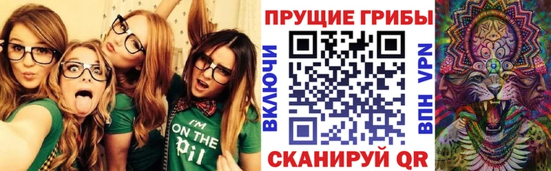 Псилоцибиновые грибы мицелий  Купить закладки  Красный Холм 